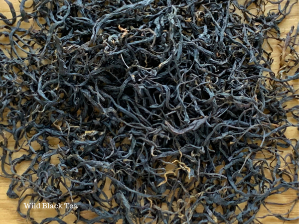 Wild Black Tea - Image 5