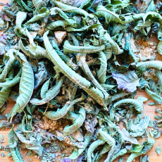 Wellness Tea