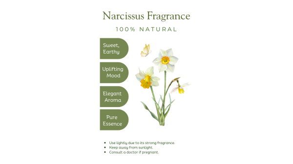 Narcissus Fragrance - Image 3