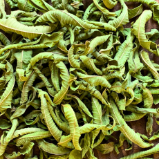 Lemon Verbena Tea