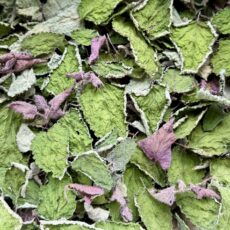 Lemon Balm Tea